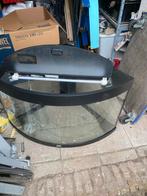 Aquarium Juwel, Dieren en Toebehoren, Vissen | Aquaria en Toebehoren, Ophalen, Zo goed als nieuw, Leeg aquarium