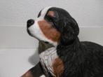 Prachtig beeld van een liggende Berner sennen hond, Ophalen of Verzenden, Gebruikt, Hond of Kat, Beeldje of Figuurtje