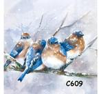 Servetten decoupage/bullet journal * vogels C609, Hobby en Vrije tijd, Knutselen, Verzenden, Nieuw, Materiaal