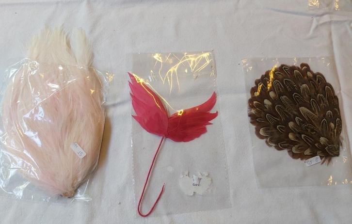 Nieuwe heel mooie veren kapjes of pads voor in het haar (B), Kleding | Dames, Overige Dameskleding, Nieuw, Ophalen of Verzenden