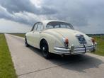 Daimler V8 250 (Jaguar Mk2), Auto's, Achterwielaandrijving, 8 cilinders, 146 pk, Wit