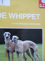 Over Dieren- De whippet italiaanse windhondje 9789058210364, Ophalen of Verzenden, Gelezen, Paarden of Pony's