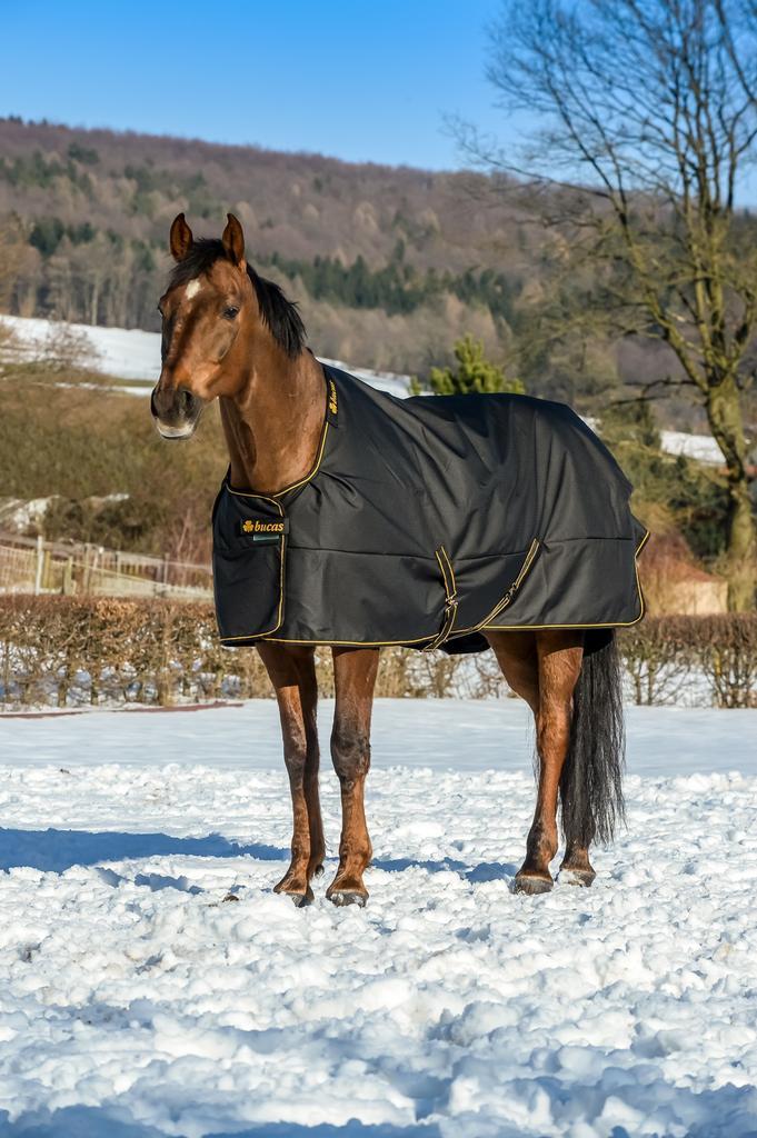 NIEUWE Bucas Irish Turnout Extra winterdeken maat 7.0 (215), Dieren en Toebehoren, Paarden en Pony's | Dekens en Dekjes, Nieuw