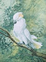 Kaketoe op Tak, Antiek en Kunst, Ophalen of Verzenden