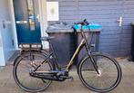 Giant Entour elektrischefiets, Ophalen, 28 inch, Giant, Zo goed als nieuw