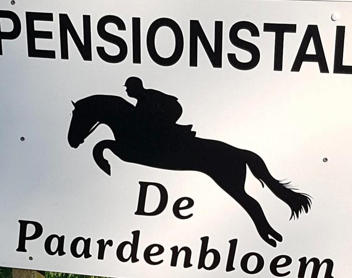 Box vrij voor paard of pony, Dieren en Toebehoren, Stalling en Weidegang, Weidegang