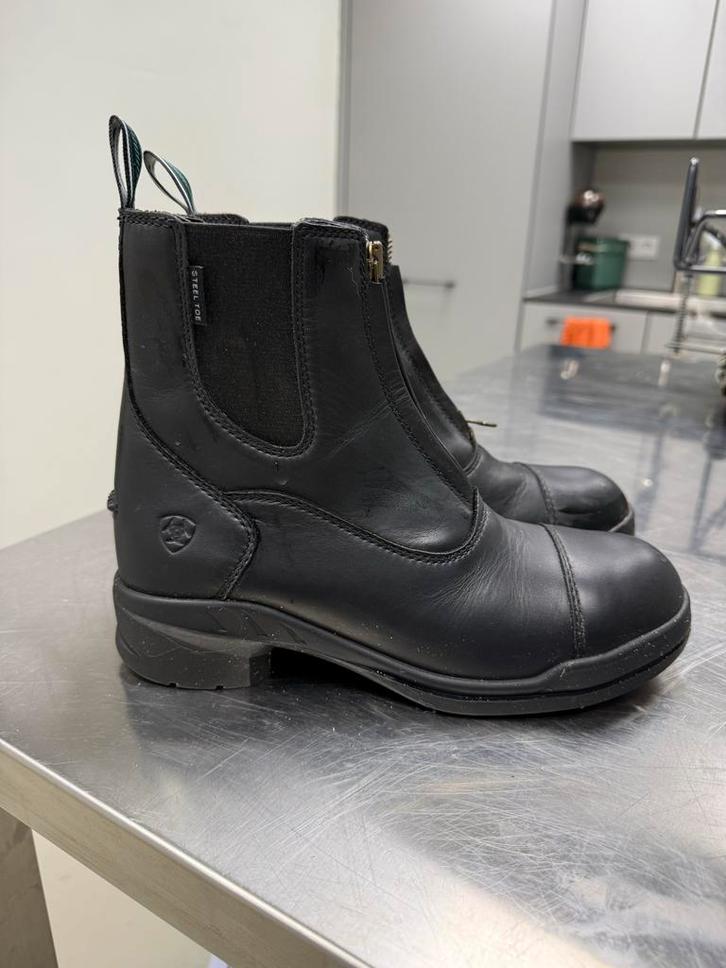 Ariat rijschoen Heritage Zip Steel maat 39- Nieuw, Dieren en Toebehoren, Paardrijkleding, Nieuw, Schoeisel, Dressuur, Ophalen