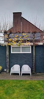 2 dikke leilindes, Tuin en Terras, Planten | Bomen, Ophalen, Volle zon, Overige soorten