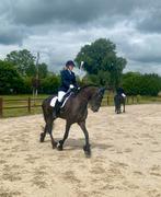 Lieve friese merrie, Dieren en Toebehoren, Paarden, Merrie, Dressuurpaard