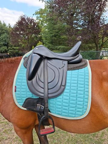 Dressuurzadel 17 inch  beschikbaar voor biedingen