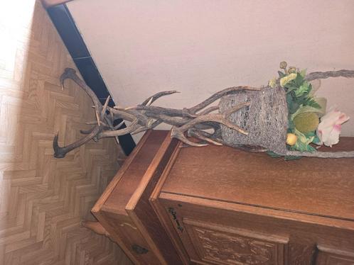 Planten-Houder Hertengeweien Authentiek, Antiek en Kunst, Kunst | Overige Kunst, Ophalen
