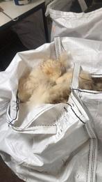Witte en zwarte wol, Ophalen, Gebruikt, Overige typen