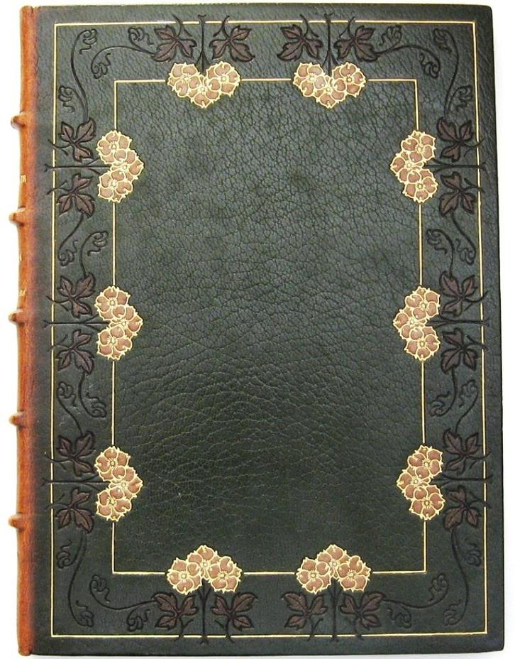 Le Poison des Pierreries 1903 Art Nouveau band Rene Kieffer, Antiek en Kunst, Antiek | Boeken en Bijbels, Ophalen of Verzenden