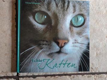 Echte Katten - Boek over katten beschikbaar voor biedingen