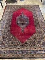 Handgeknoopt wollen Perzische tapijt, Gebruikt, 200 cm of meer, 200 cm of meer, Rechthoekig