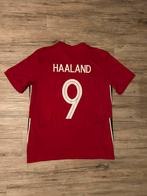 Noorwegen Thuisshirt 2020/2021 Haaland #9, Sport en Fitness, Voetbal, Maat M, Ophalen of Verzenden, Zo goed als nieuw, Shirt
