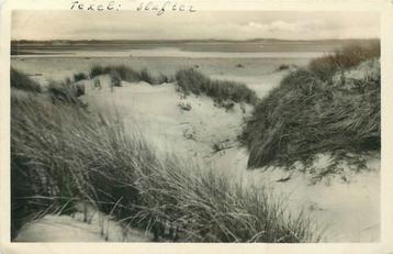 (379-239-029) Texel Slufter beschikbaar voor biedingen