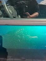 Suzuki swift 1.3  3 deurs, Ophalen of Verzenden