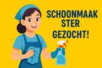 Schoonmaakhulp/Schoonmaakster gezocht Doornenburg (vrijdag), Overige niveaus, Overige vormen