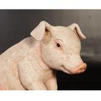 Sitting Piglet – Varken beeld - Big Lengte 38 cm, Verzamelen, Dierenverzamelingen, Ophalen, Nieuw, Overige soorten, Overige typen