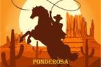 Slag/sologitarist gevraagd voor R'damse C&W band Ponderosa, Band