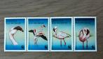 Angola 1999 Flamingo vogels Postfris, Postzegels en Munten, Ophalen of Verzenden, Overige landen, Postfris