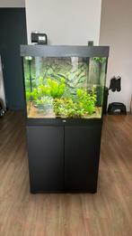 Te koop, Juwel Lido 200 aquarium., Dieren en Toebehoren, Vissen | Aquaria en Toebehoren, Ophalen, Zo goed als nieuw, Gevuld zoetwateraquarium