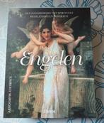Engelen inzicht kaarten + boek set - Kimberly Marooney, Ophalen of Verzenden