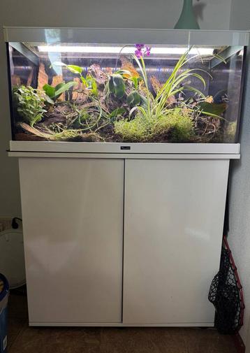 Planten terrarium beschikbaar voor biedingen