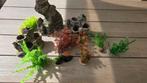 Aquarium kunstplanten en rotsen, Dieren en Toebehoren, Vissen | Aquaria en Toebehoren, Ophalen of Verzenden, Gebruikt, Plant(en), Steen of Hout