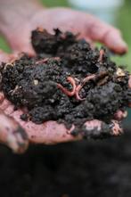 Uit de biologische moestuin: Wormencompost., Ophalen, Compost