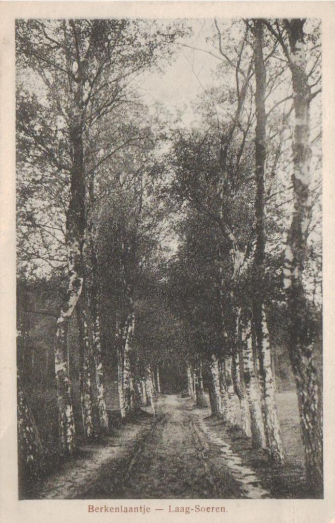 196 Laag Soeren Berkenlaantje 1920 gelopen, Verzamelen, Ansichtkaarten | Nederland, Gelopen, Gelderland, Voor 1920, Ophalen of Verzenden