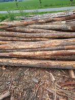 Douglas palen - 3 meter €4 per stuk, Doe-het-zelf en Verbouw, Hout en Planken, Ophalen, Gebruikt, Balk, Overige houtsoorten
