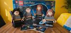 Lego 76393 Harry Potter and Hermione ( harry en hermelien ), Ophalen of Verzenden, Zo goed als nieuw