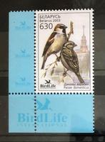 BELARUS 2003 vogels Birdlife mus 1w pf, Verzenden, Postfris, Dier of Natuur