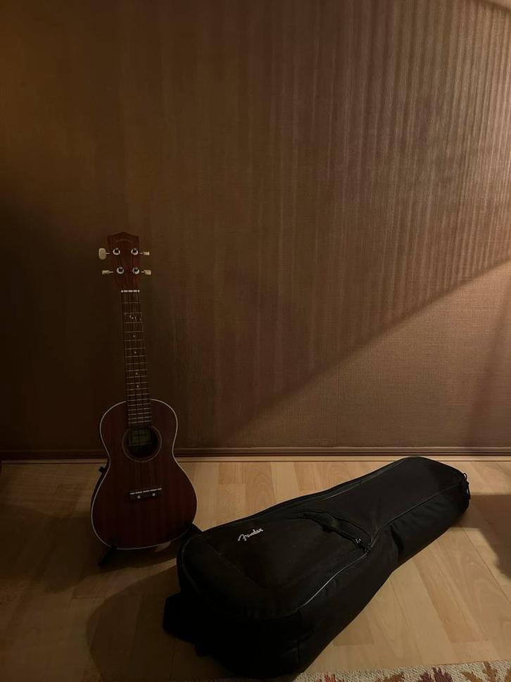 Ukelele met standaard en tas, Muziek en Instrumenten, Snaarinstrumenten | Overige, Zo goed als nieuw, Ukelele, Ophalen