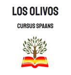 Cursus Spaans, Diensten en Vakmensen, Bijles, Privé-les en Taalles, Taalles