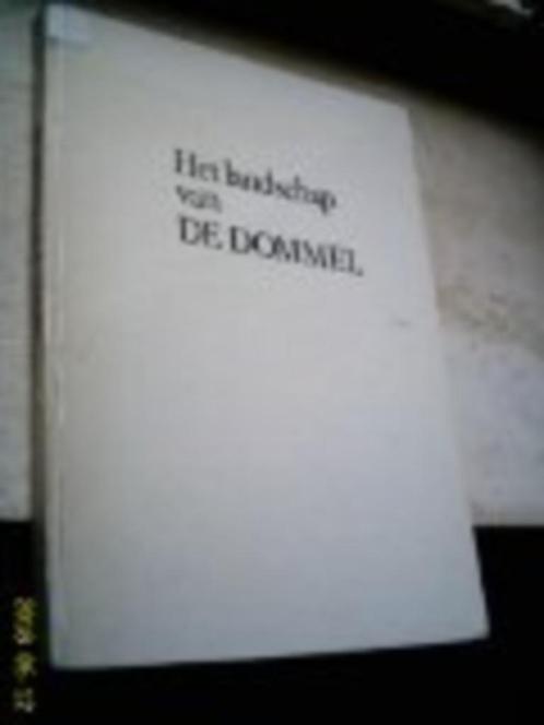 Martien Coppens: Het landschap van De Dommel., Boeken, Geschiedenis | Stad en Regio, Zo goed als nieuw, 20e eeuw of later, Ophalen of Verzenden