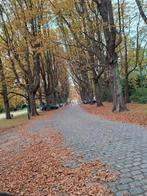 Stacaravan in België, Tot en met 2