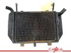 RADIATEUR TL 1000 R 1998-2003 (TL1000R) (422131-8370), Motoren, Onderdelen | Suzuki, Gebruikt