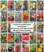 Groot assortiment tomatenzaden beschikbaar gifvrij, Verzenden, Volle zon