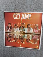 vinyl lp The Cats aglow, Ophalen, Gebruikt, 12 inch, Poprock