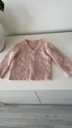 Roze vest, Ophalen of Verzenden, Zo goed als nieuw, Meisje, Trui of Vest
