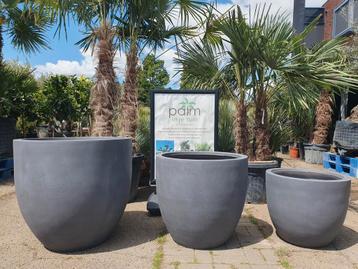 Bloempotten  beschikbaar voor biedingen