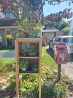 Tuin en groente planten, tomaten, courgette, pompoen etc, Tuin en Terras, Planten | Tuinplanten, Ophalen, Volle zon, Groenteplanten