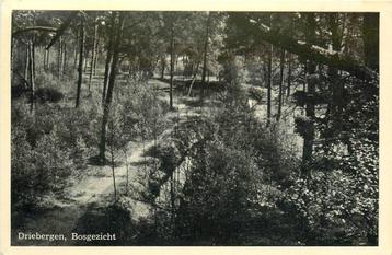 (388-323-015) Driebergen-Rijsenburg Bosgezicht beschikbaar voor biedingen