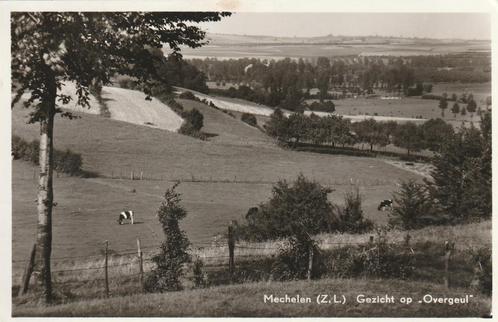 MECHELEN Gezicht op Overgeul, Verzamelen, Ansichtkaarten | Nederland, Gelopen, Limburg, 1940 tot 1960, Verzenden