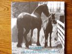 50 Jaar Friyske Greidhynder. T de Boer e.a., Ophalen of Verzenden, Zo goed als nieuw, T de Boer e.a., Paarden of Pony's
