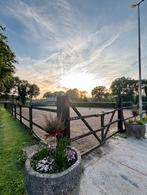 4 stallen te huur van af december, Dieren en Toebehoren, Stalling en Weidegang