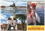 910837	Harderwijk	1976 met oa	Dolfinarium		Gelopen met Postz